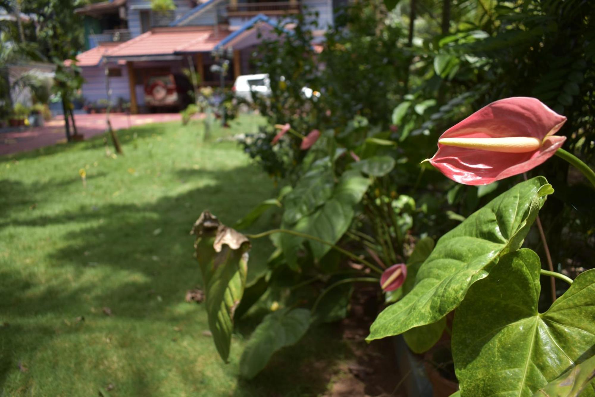 Benny Nivas Appartement Kannur Buitenkant foto